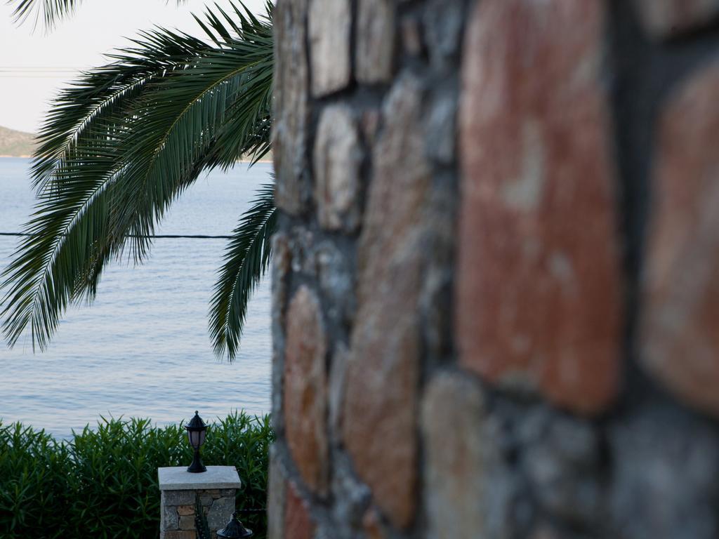 Alonissos Muses Villas Kalamakia Bagian luar foto