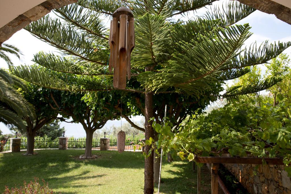 Alonissos Muses Villas Kalamakia Bagian luar foto